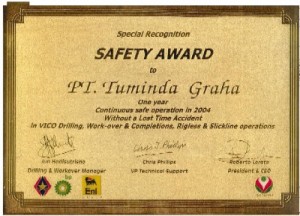 VICO Safety Award